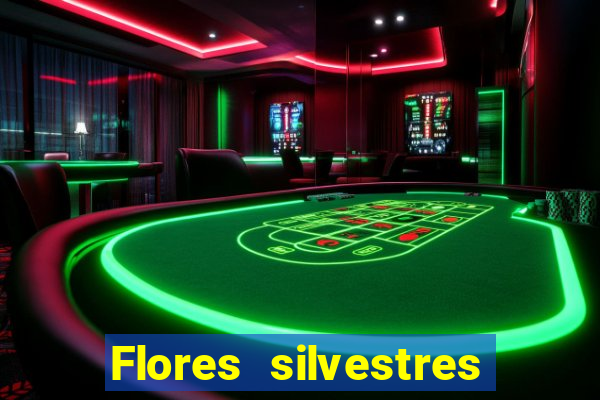 Flores silvestres brasileiras 25